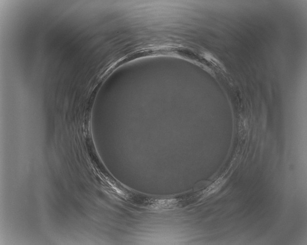 X0000058761353200509301007