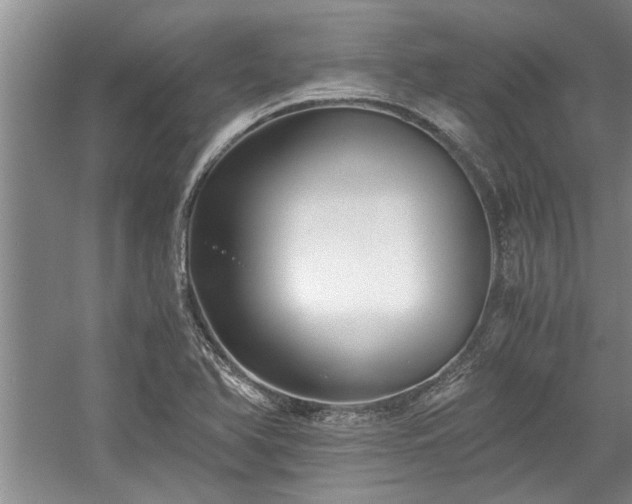X0000058761366200509301007