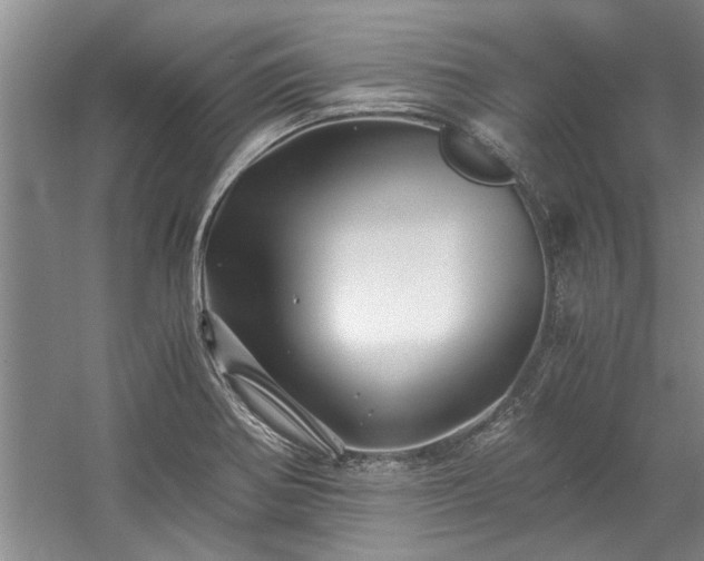 X0000058761370200509301007