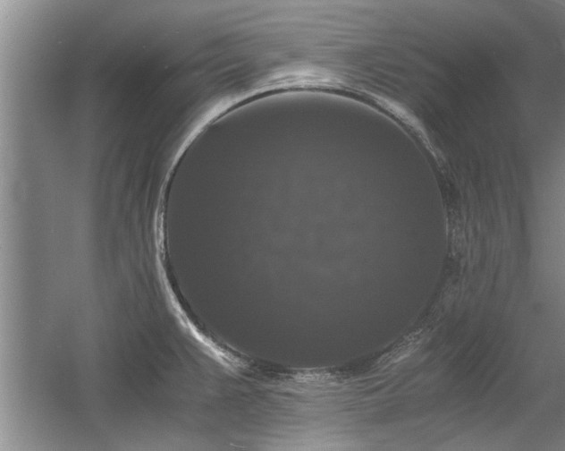 X0000058761383200509301006