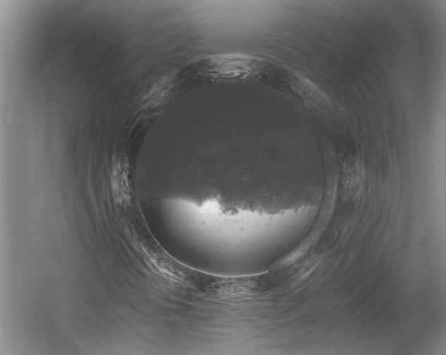 X0000058761394200509301005