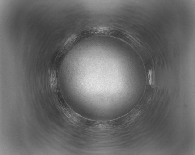 X0000058761395200509301005