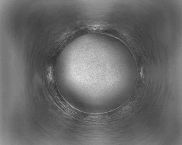 X0000058761396200509301005