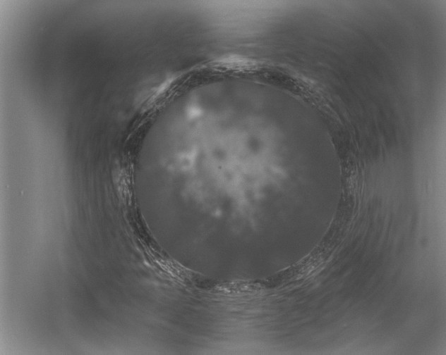 X0000058761397200509301005