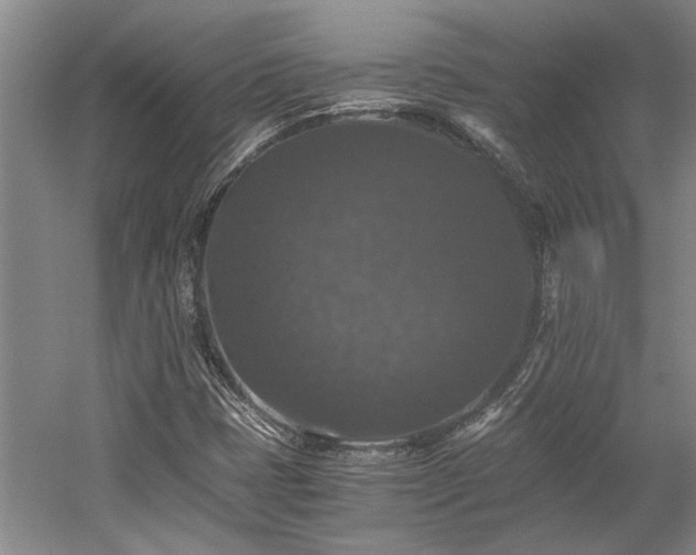 X0000058761401200509301005