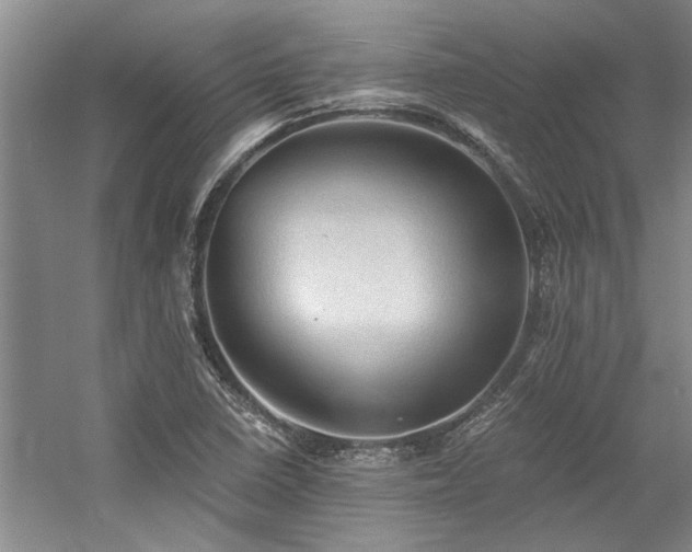 X0000058761410200509301006