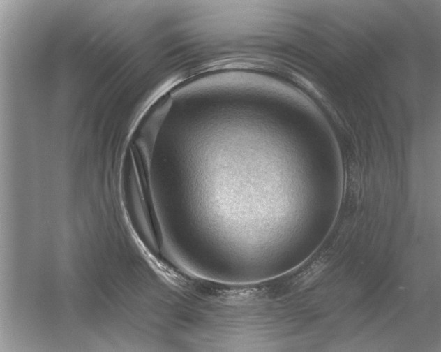 X0000058761426200509301006