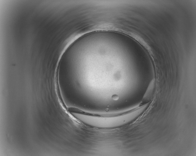 X0000058761440200509301006