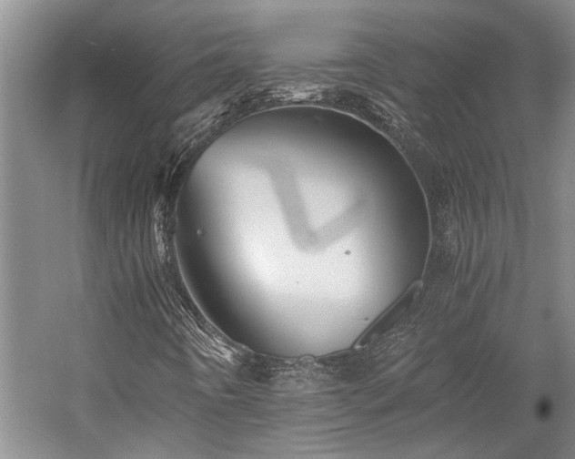 X0000058761442200509301005