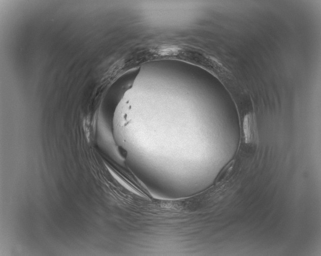 X0000058761443200509301005