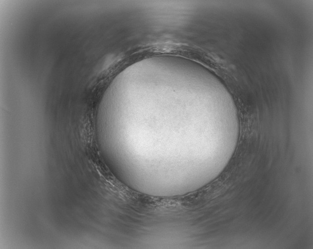 X0000058761446200509301005