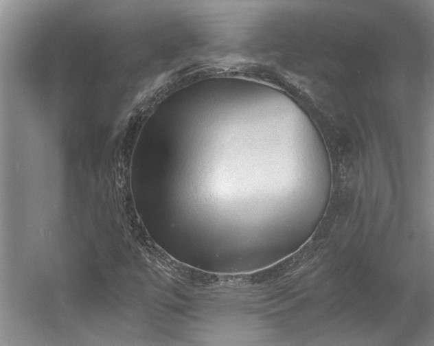 X0000058761447200509301005