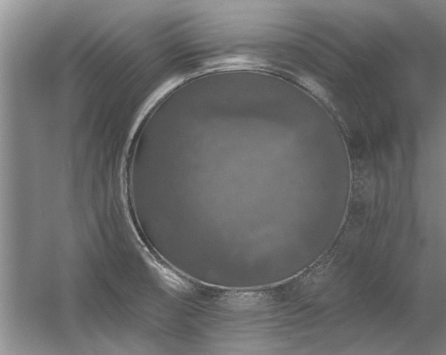 X0000058761474200509301005