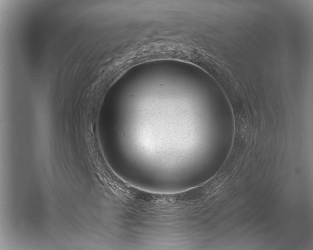 X0000058761489200509301004