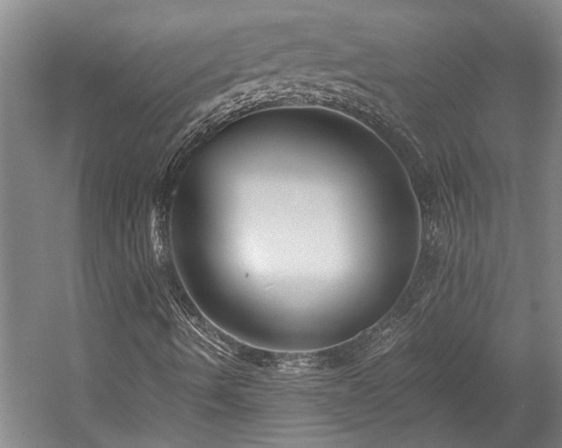 X0000058761490200509301004