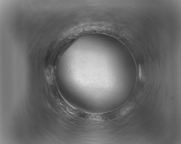 X0000058761492200509301004