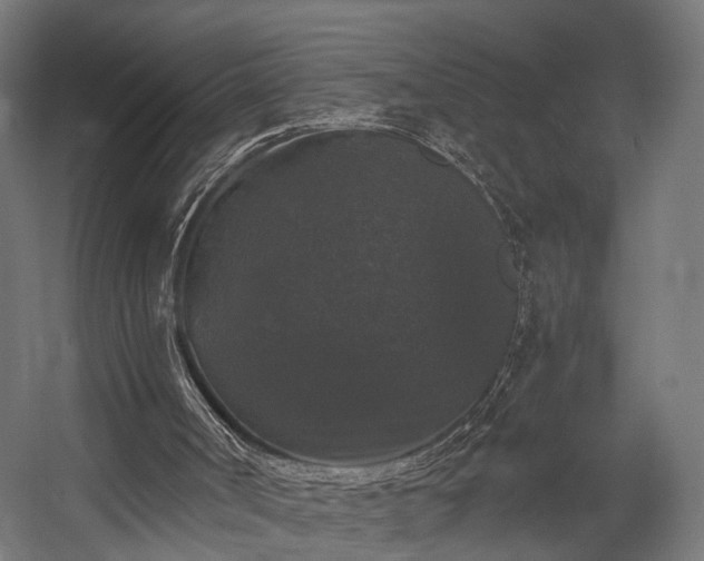 X0000058760002200510031031
