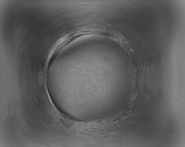 X0000058760003200510031031