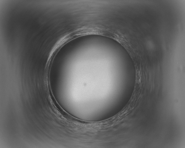 X0000058760004200510031031