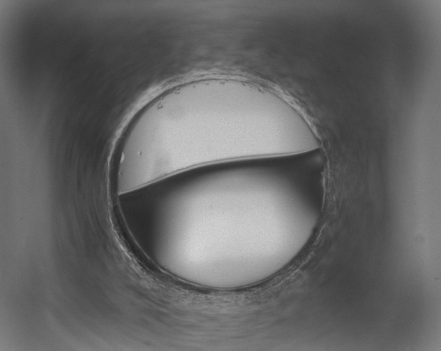 X0000058760008200510031031