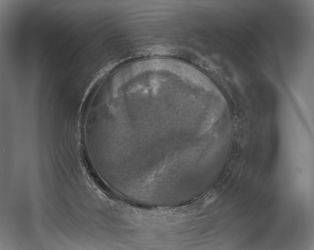 X0000058760012200510031031