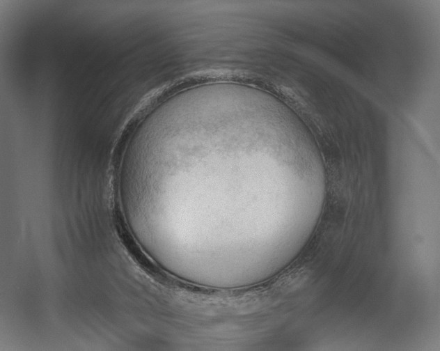 X0000058760016200510031031
