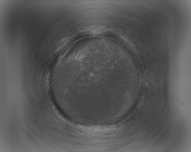X0000058760018200510031031