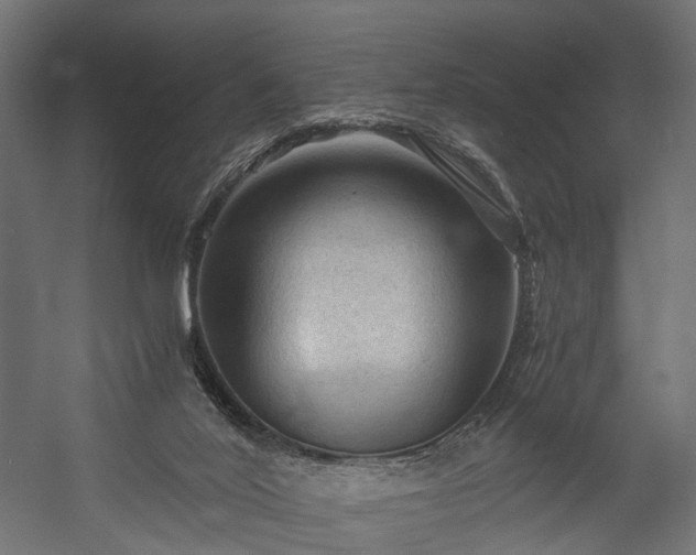 X0000058760020200510031031