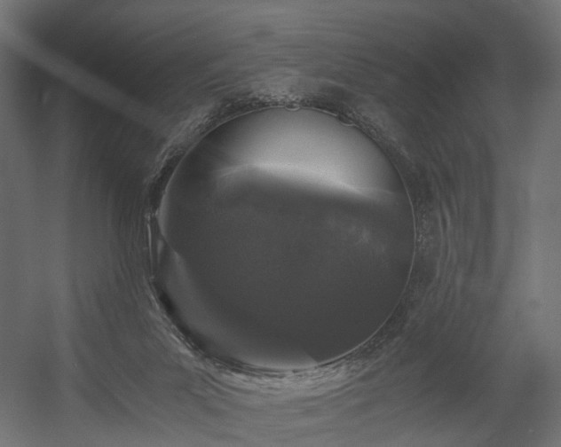 X0000058760023200510031031