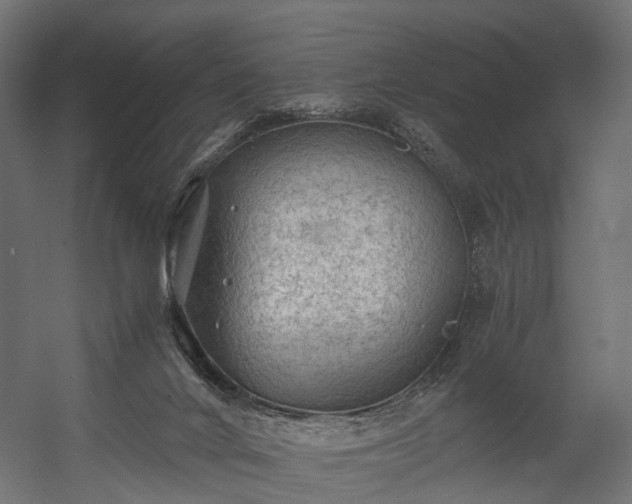 X0000058760024200510031031