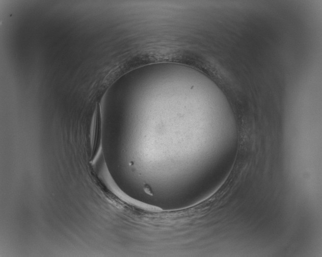 X0000058760025200510031031