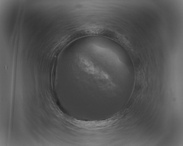 X0000058760027200510031031