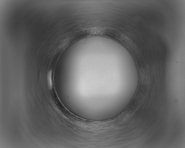 X0000058760028200510031031