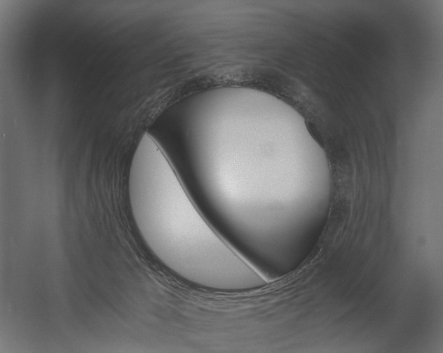 X0000058760029200510031031