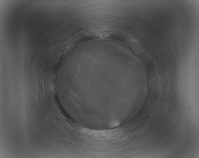 X0000058760030200510031031