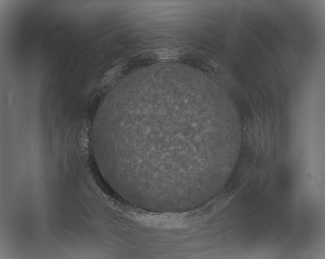 X0000058760032200510031031