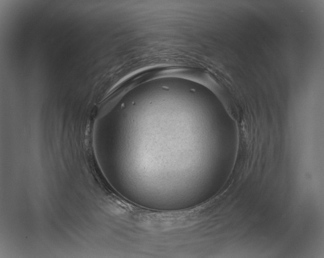 X0000058760033200510031031