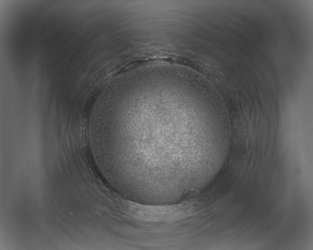 X0000058760034200510031031