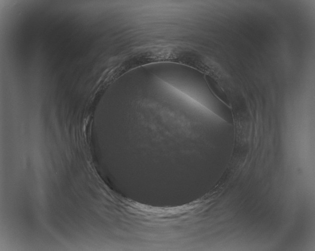 X0000058760035200510031031