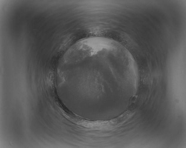 X0000058760036200510031031