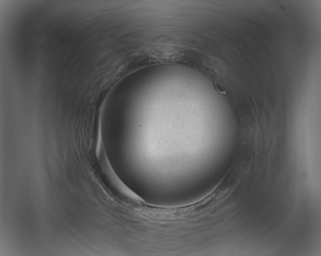 X0000058760040200510031030