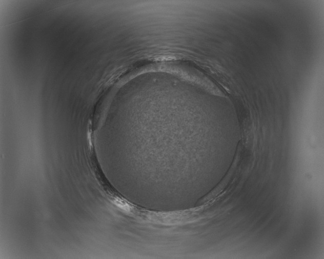 X0000058760041200510031030