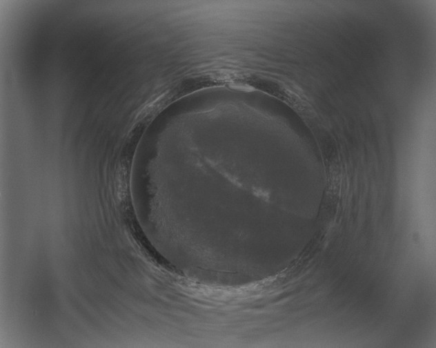 X0000058760043200510031030
