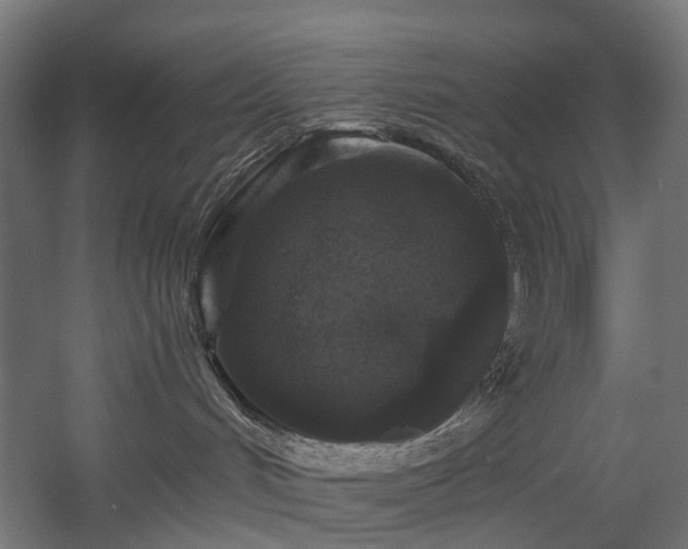 X0000058760048200510031030