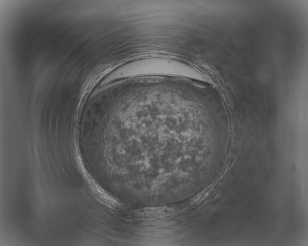 X0000058760049200510031030