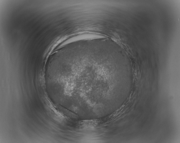 X0000058760050200510031030