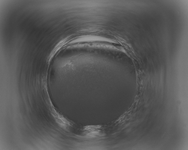X0000058760051200510031030