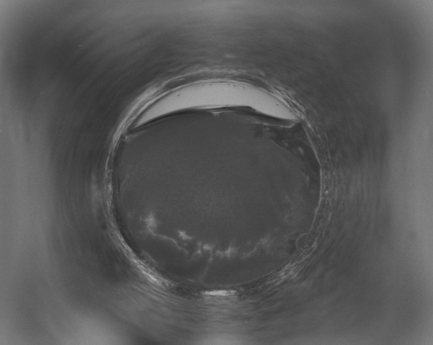 X0000058760053200510031030