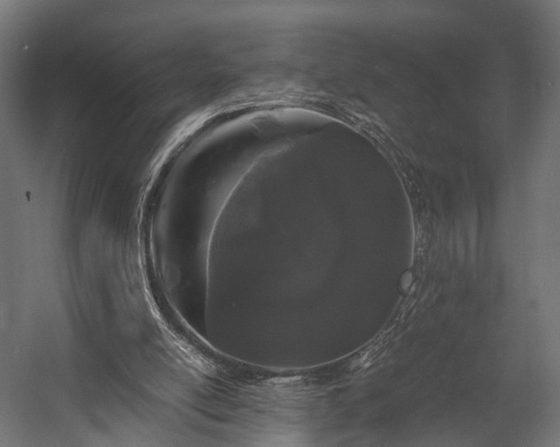 X0000058760054200510031030