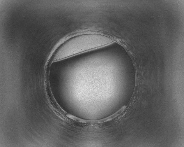 X0000058760056200510031030